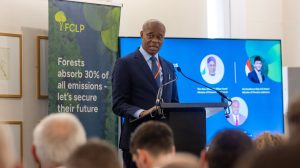 Ghana Calls for Global Framework to Unlock Forest Finance