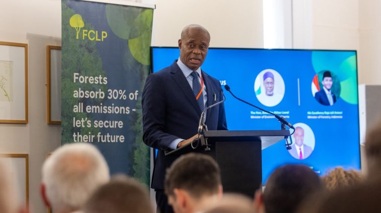 Ghana Calls for Global Framework to Unlock Forest Finance