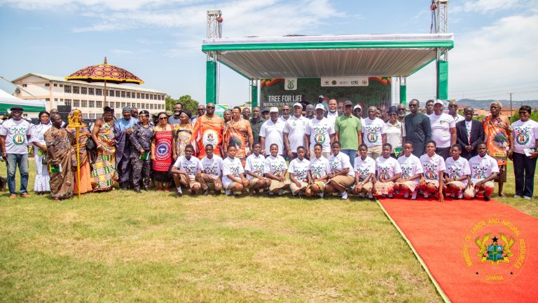 Ghana Targets 30 Million Trees in 2026 After Surpassing 31 Million in 2025