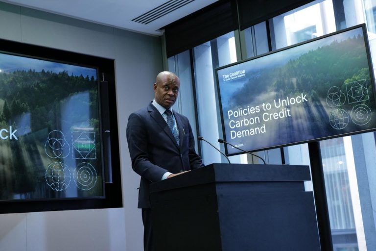 Ghana Pushes for Fair and High-Integrity Carbon Markets at London Climate Action Week