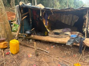 NAIMOS Disrupts Illegal Mining, Intervenes in Violent Clash at Atiwa Forest Reserve